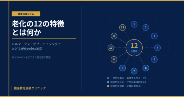 老化の12の特徴（ハルマークス・オブ・エイジング）を3つのグループに整理した全体地図のイメージ