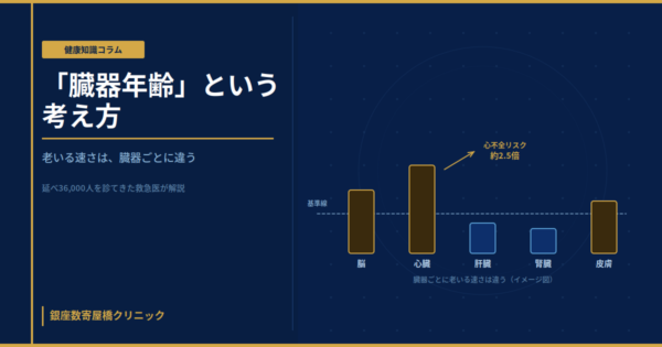 臓器ごとに異なる速さで老いていく体を示す「臓器年齢」の概念イメージ