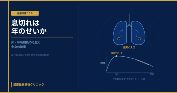 左右の肺と気管支、そして年齢とともにゆるやかに低下する呼吸機能のカーブを示すイメージ