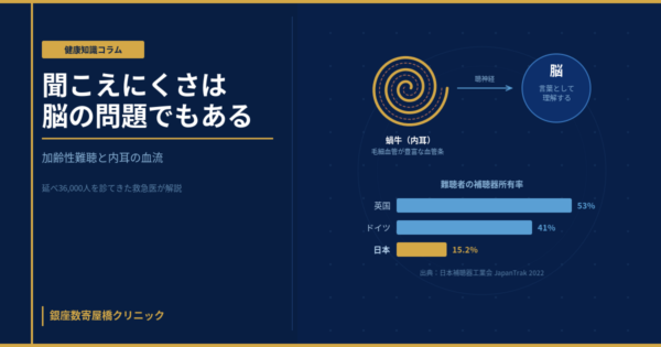 加齢とともに変化する内耳（蝸牛）の血流と聞こえ、そして脳とのつながりを示すイメージ