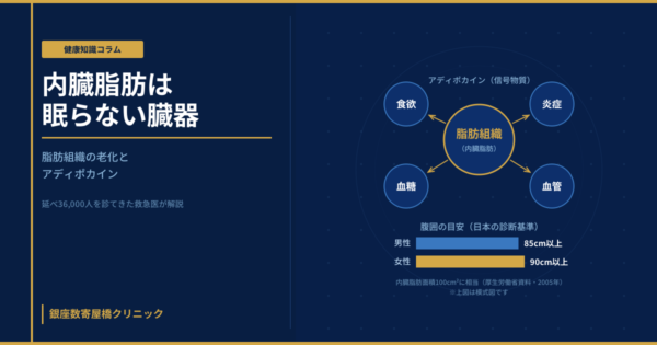 脂肪組織が全身の臓器に向けて信号物質（アディポカイン）を発しているイメージ